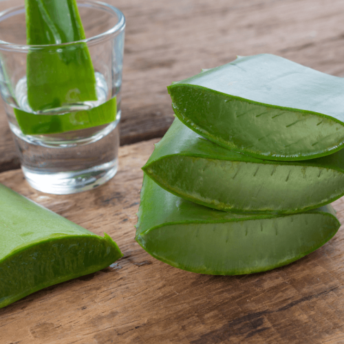 Les Bienfaits de l&rsquo;Aloe Vera : Une Plante Miracle pour la Santé et la Beauté